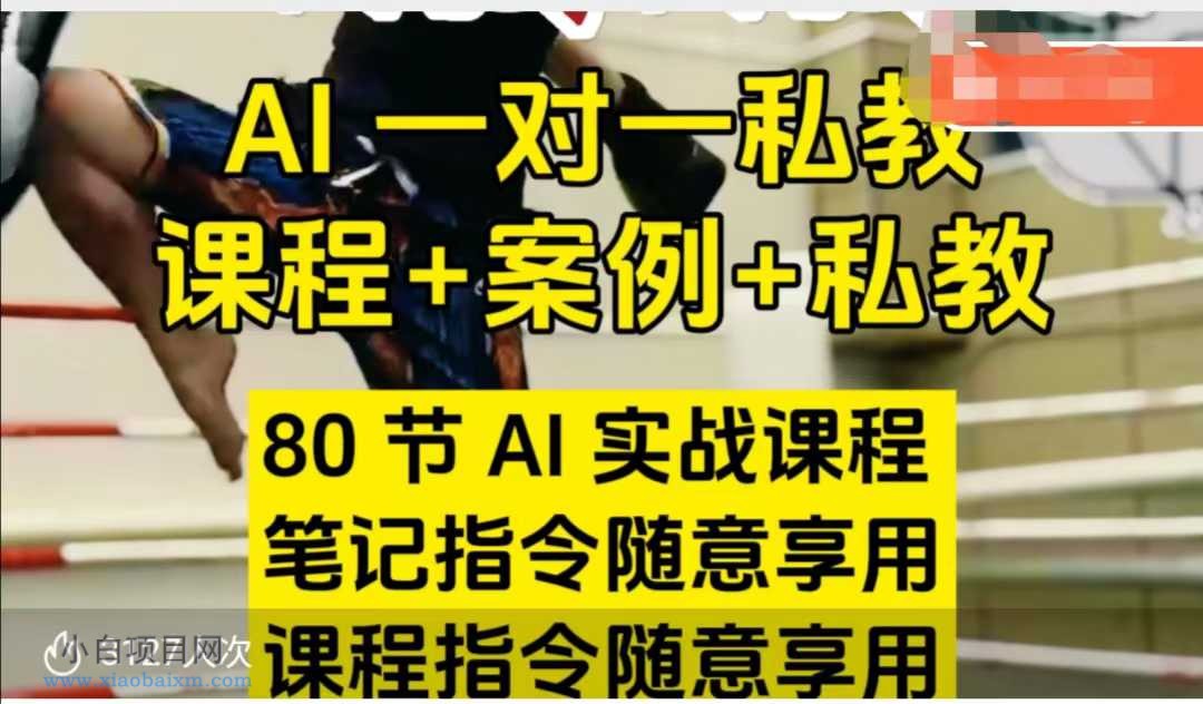 AI指令实战课,课程+案例,80节AI实战课程,笔记指令随意享用,课程指令随意享用(更新7月)