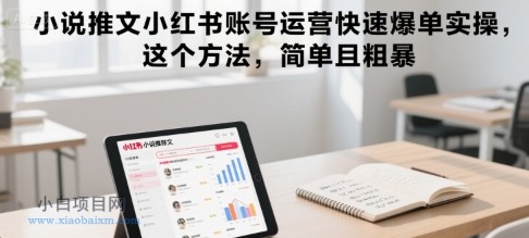 小说推文小红书账号运营快速爆单实操,这个方法,简单且粗暴-小白项目分享网