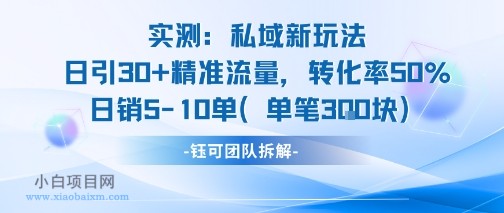 实测私域新玩法日引30加精准流量转化率50%日销5-10单每笔3张-小白项目分享网
