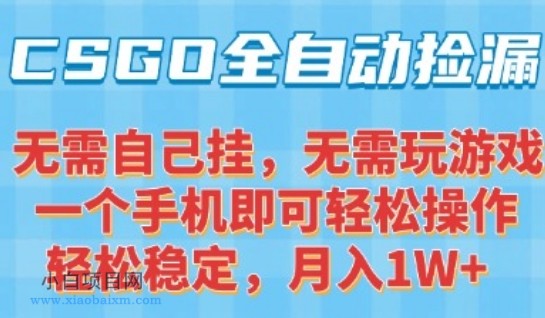 CSGO自动捡漏项目，最新独家玩法，一个手机可操作，新手小白轻松月入1W+，操作简单易上手【揭秘】-小白项目分享网