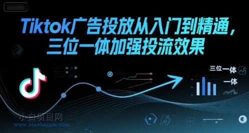 Tiktok广告投放从入门到精通，三位一体加强投流效果-小白项目分享网