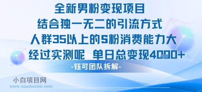 全新男粉变现项目引流人群35以上的男粉消费能力大 经过实测单日变现1k+-小白项目分享网