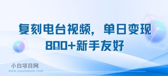 复刻电台视频，单日变现8张+新手友好，长期可做-小白项目分享网