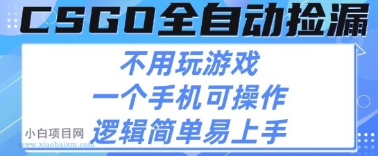 CSGO自动捡漏项目,最新独家玩法,不用挂G不用玩游戏,一个手机即可操作,新手小白轻松月入1W+【揭秘】