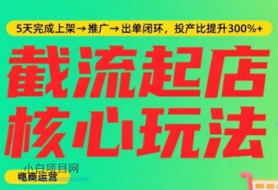淘宝截流快速起店玩法,掌握暴力快速起店的流程,5天完成上架-推广-出单闭环