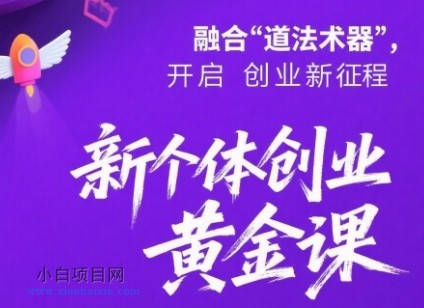 新个体创业黄金课：道法术器四维抢占2025红利-小白项目分享网