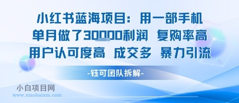 小红书蓝海项目,一部手机单月做了3W利润,小白也能月入过1W用户认可度高成交多-小白项目分享网