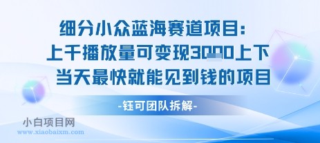 小众蓝海赛道项目:当天变现1k+适合新手操作 +适合长期玩