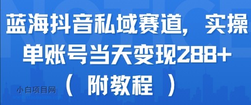 蓝海抖音私域赛道，实操单账号当天变现288+(附教程)-小白项目分享网