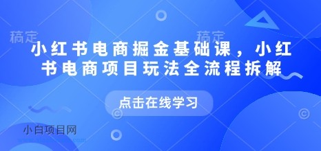 小红书电商掘金课，小红书电商项目玩法全流程拆解（更新7月）-小白项目分享网