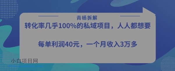 转化率最高的私域项目，每单利润40-50米，月入过1w-小白项目分享网