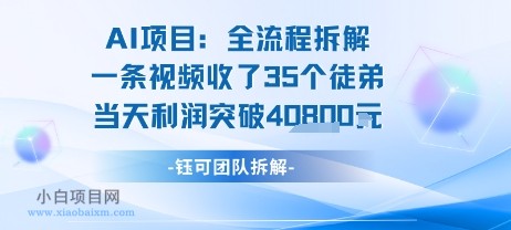 AI收徒变现闭环：一条视频收35人，日入1k+(附完整SOP)-小白项目分享网