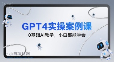 GPT4实操案例课,0基础AI教学,小白都能学会