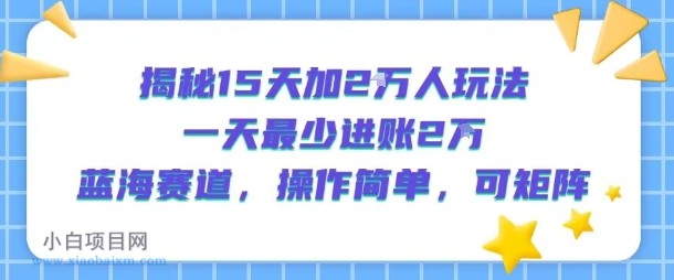 揭秘15天加2W人玩法,一天最少2万进账,蓝海赛道,操作简单,可矩阵