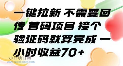 一键拉新 不需要回传 首码项目 接个验证码就算完成 一小时收益70+【揭秘】-小白项目分享网