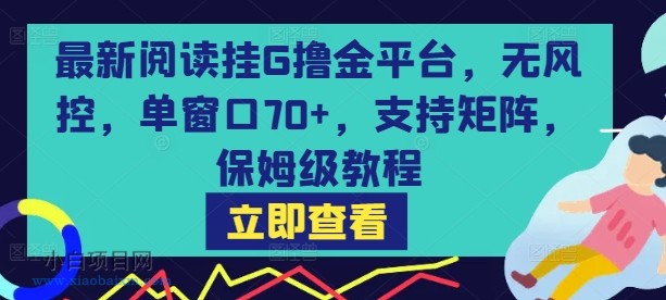 最新阅读挂G撸金平台，无风控，单窗口70+，支持矩阵，保姆级教程【揭秘】-小白项目分享网