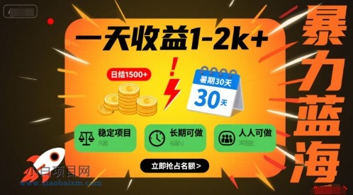 一天收益1-2k+ 稳定项目，暑期暴力蓝海项目，长期稳定，人人可做【揭秘】-小白项目分享网