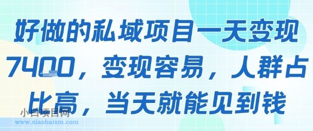 好做的私域项目一天变现1k+,变现容易,人群占比高,当天就能见到钱-小白项目分享网