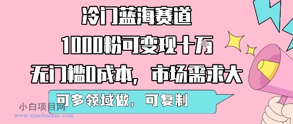 冷门蓝海赛道，1000粉可变现十W，无门槛0成本，市场需求大，可多领域做，可复制性强-小白项目分享网