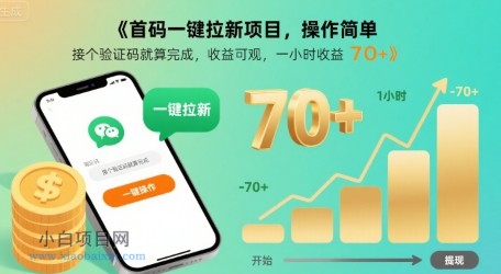 首码一键拉新项目，操作简单，接个验证码就算完成，收益可观， 一小时收益70+【揭秘】-小白项目分享网