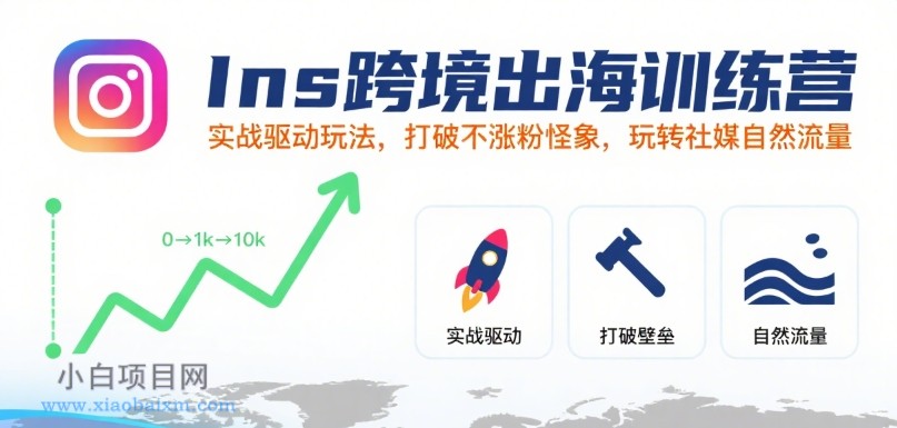 Ins跨境出海训练营，实战驱动玩法，打破不涨粉怪象，玩转社媒自然流量-小白项目分享网
