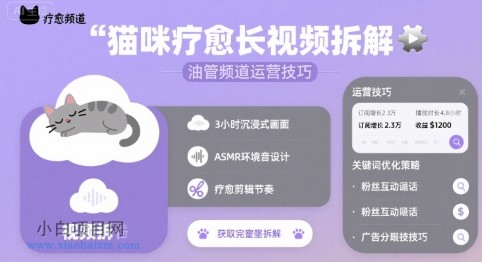 猫咪疗愈长视频拆解 &油管频道运营技巧