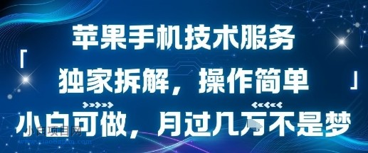 苹果手机技术服务,独家拆解,操作简单,小白可做,月过1W不是梦