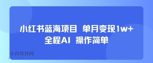 小红书蓝海项目 单月变现1w+ 全程AI 操作简单-小白项目分享网