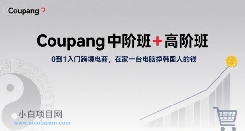 Coupang中阶班+高阶班,0到1入门跨境电商,在家一台电脑挣韩国人的钱