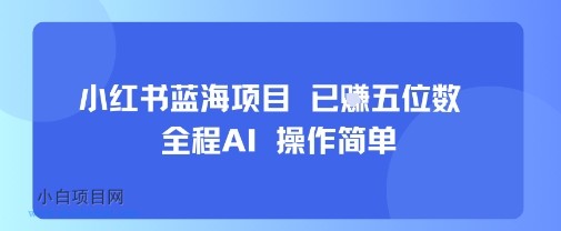 小红书蓝海项目，全程AI，操作简单，已挣五位数-小白项目分享网