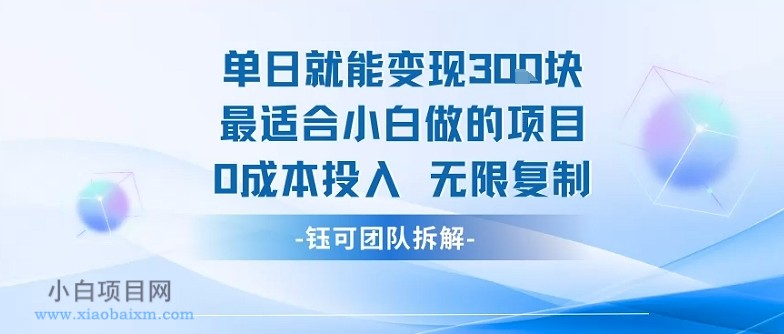 单日就能变现3张最适合小白做的项目0成本投入 无限复制-小白项目分享网