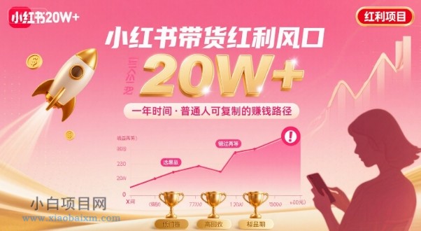 一年时间靠小红书带货项目年入20w+,最不能错的大红利项目
