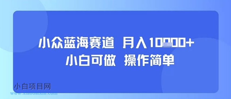 小众蓝海赛道，小白可做，操作简单，每天30分钟，月入1W+-小白项目分享网
