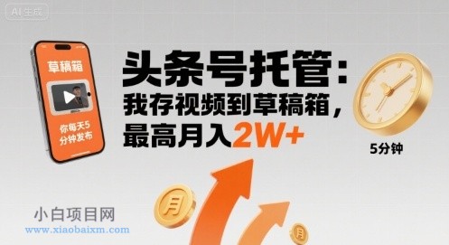 【头条号托管 】我存视频到草稿箱，你每天5分钟发布，最高月入2W+【揭秘】-小白项目分享网