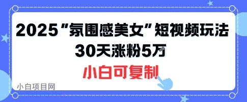 不露脸也能火!2025“氛围感美女”短视频玩法,30天涨粉5W小白可复制-小白项目分享网