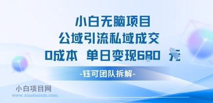 小白无脑项目公域引流私域成交0成本单日变现680米-小白项目分享网