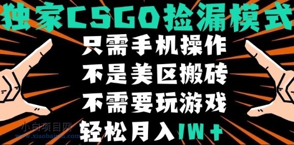 CSGO自动捡漏项目，最新独家玩法，不是美区搬砖，不需要了解和玩游戏，新手小白轻松月入1W+【揭秘】-小白项目分享网
