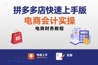 拼多多店快速上手版电商会计实操-电商财务教程