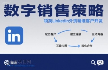 数字销售策略领英LinkedIn外贸精准客户开发-小白项目分享网