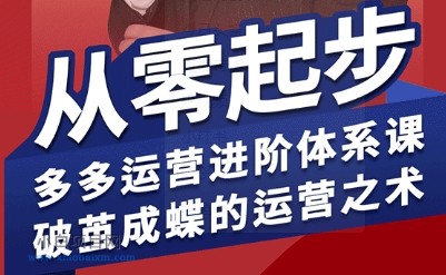 拼多多运营进阶系统课，从零起步，多多运营进阶体系课，破茧成蝶的运营之术-小白项目分享网