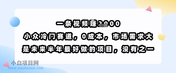 一条视频挣1k,小众冷门赛道,0成本,市场需求大,是未来半年最好做的项目,没有之一