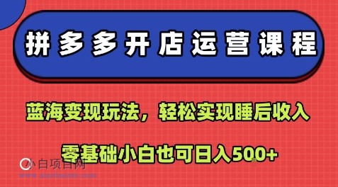 拼多多开店运营课程:蓝海变现玩法,轻松实现睡后收入,零基础小白也可日入5张-小白项目分享网