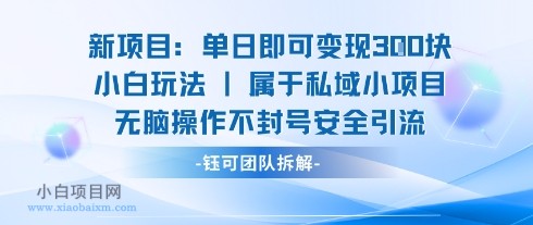 新项目单日即可变现3张的小白玩法无脑操作不封号安全引流-小白项目分享网