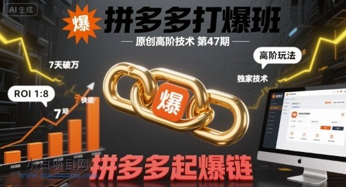 拼多多打爆班原创高阶技术第47期，拼多多起爆链-小白项目分享网