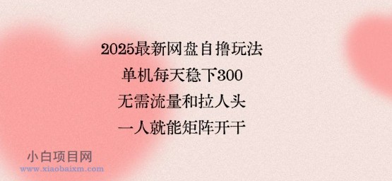 2025最新网盘自撸玩法,单机每天稳下3张,无需流量和拉人头,一个人就可轻松矩阵,全网独一份【揭秘】-小白项目分享网