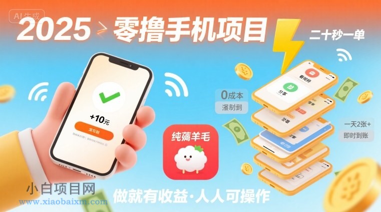 2025年零撸手机项目,二十秒一单,纯薅羊毛 一天2张+做就有【揭秘】