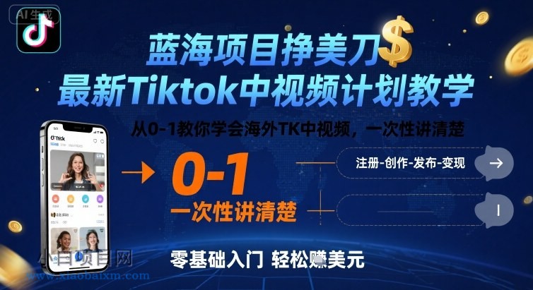 蓝海项目挣美刀,最新Tiktok中视频计划教学,从0-1教你学会海外TK中视频,一次性讲清楚