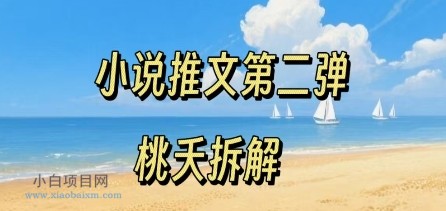 小说推文项目操作全流程第二弹，0粉就能做，门槛低非常适合新手-小白项目分享网