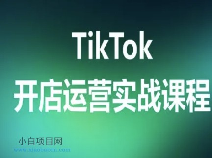 TikTok开店运营实战课程，TK跨境电商实操全流程-小白项目分享网