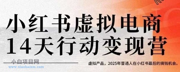 小红书虚拟电商14天变现训练营,虚拟产品,2025年普通人在小红书最后的搞钱机会(更新)